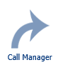 1. Call Manager