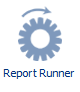 2. Report Runner